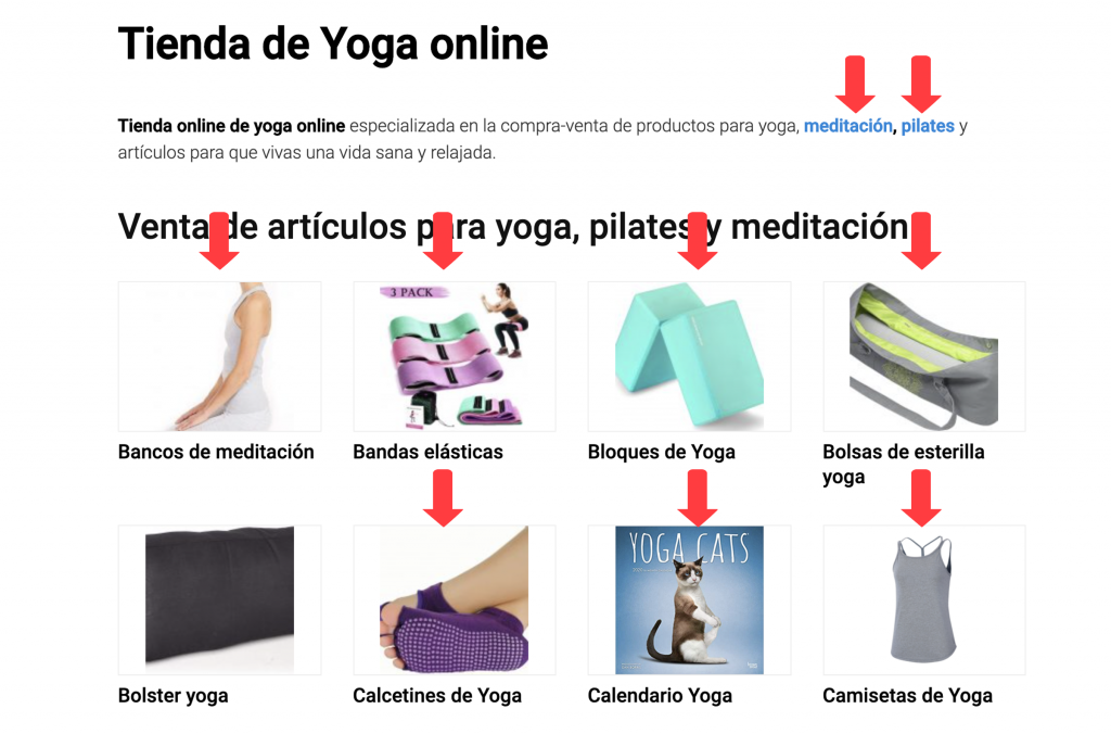 ¿QUÉ ES UNA ARAÑA WEB? SOY ALONSO